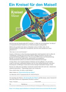 Flyer Kreisel für den Maisel