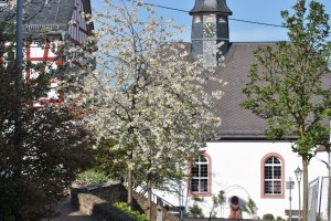 fruehling-2014-neuhof-und-wehen-002_klein