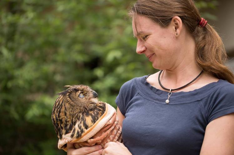 14907810_1200041413419775_16402463_o